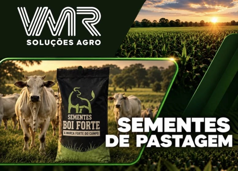 Sementes Boi Forte