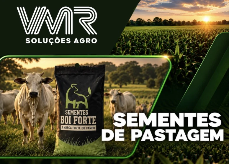 Sementes Boi Forte
